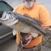 Profile Picture of Larry Cromer (@larry.cromer.7545) on Facebook