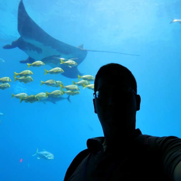 Profile Picture of Brian Lee (@strikerbl) on Poshmark