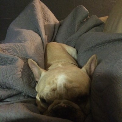 Profile Picture of Timothy Bowens (@TimothyBowens5) on Twitter