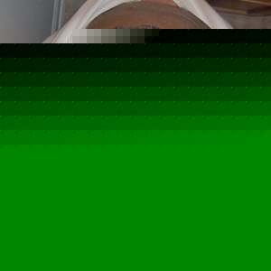 Profile Picture of Aikeem Clayton (@nuttindeeper) on Myspace