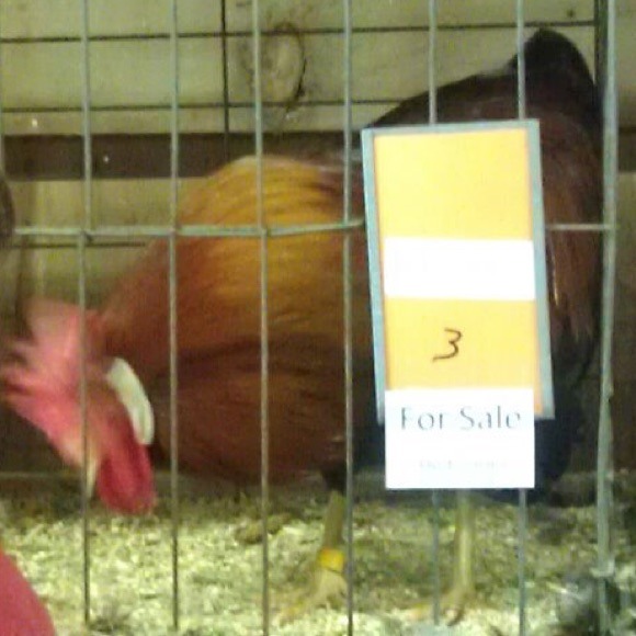 Julia Dimarco - Poshmark Profile Picture of Julia Dimarco (@juliadimarco) on Poshmark