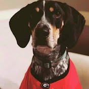 Profile Picture of Jeremy James (@jeremyjames4120) on Youtube