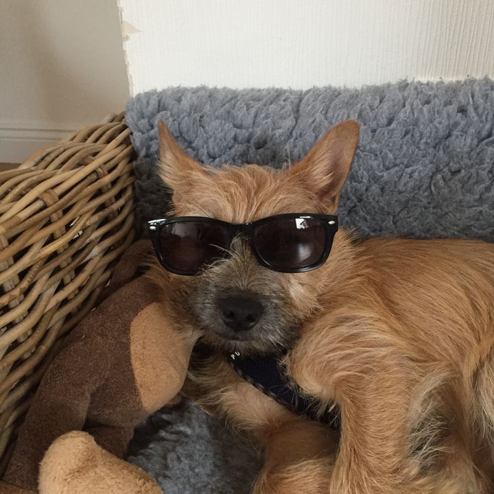 Profile Picture of paul (@@paul_bruno) on Tiktok