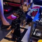 Profile Picture of Eileen Corbett (@Eileen-Corbett) on Facebook