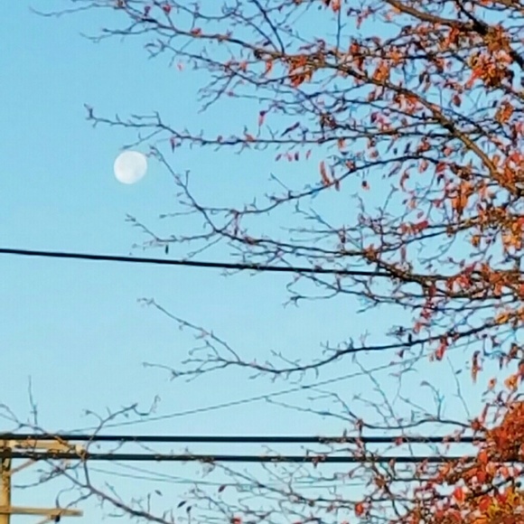 Profile Picture of Joe Cilento (@3gfashions) on Poshmark