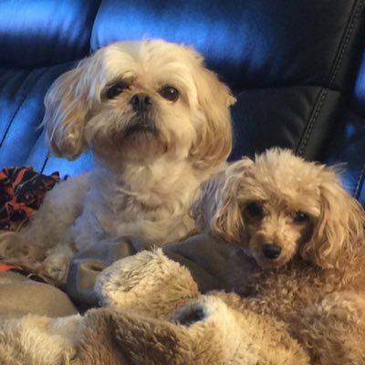 Profile Picture of Mike Overbay (@OverbayMike) on Twitter