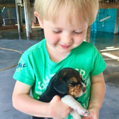 Profile Picture of James Weitman (@@jamesweitman) on Tiktok