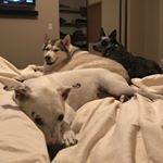 Profile Picture of Zack Stewart (@zackerystewart) on Instagram