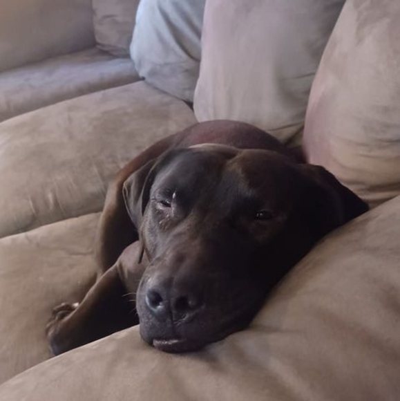 Profile Picture of Edward Costick (@etc62064) on Poshmark