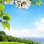 Profile Picture of Branko Sudžuković (@brankosudzukovic) on Instagram