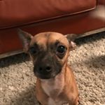 Profile Picture of geneva ramirez (@cute_gigi_16) on Instagram