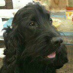 Profile Picture of nicholas (@figoli11) on Instagram