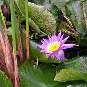 Profile Picture of Paulette Montgomery (@paulette.montgomery.92) on Facebook