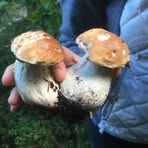 Profile Picture of Roberto Peverelli (@Roberto-Peverelli) on Facebook