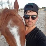 Profile Picture of David Pearce (@davidpearce_showhorses) on Instagram