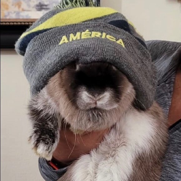 Profile Picture of Flor Orea (@flor_221267) on Poshmark