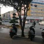 Hank King - Instagram Profile Picture of Hank King (@hank_king) on Instagram