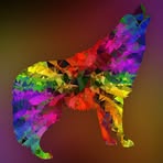 Profile Picture of Karl Kreibich (@karl.kreibich.1) on Facebook