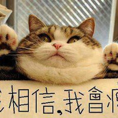 Profile Picture of Jerry Wu (@jerrywu34033420) on Twitter