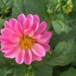 Profile Picture of Jillian Pratt (@jillianpratt4) on Instagram