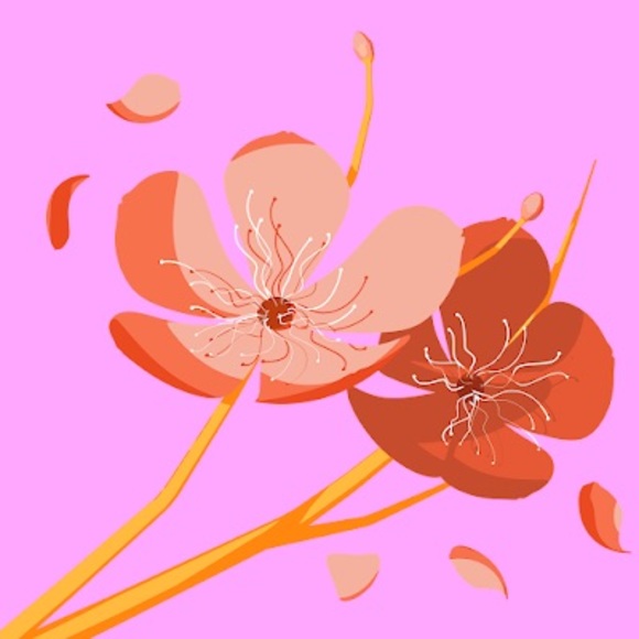 Profile Picture of Maya Rafalko (@maya_rafalko) on Poshmark