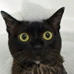 Profile Picture of Claudia Witcher (@claudia.witcher.188) on Facebook