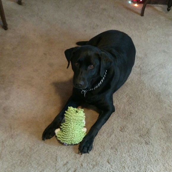 Profile Picture of Jules Bollheimer (@jjnb) on Poshmark