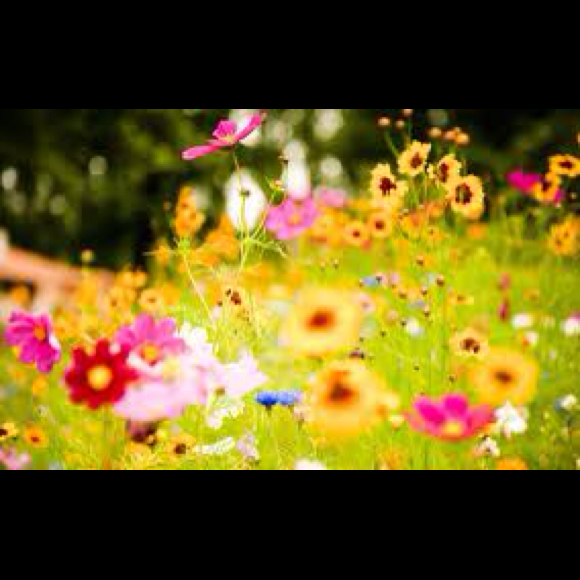 Profile Picture of Nicole Rancati (@colee025) on Poshmark