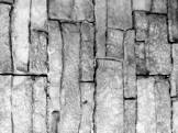 Profile Picture of   Brick Wall (@derpy_queen21)... (@derpy_queen21) on Tiktok
