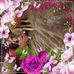 Profile Picture of Robin Callaway (@robin.callaway) on Facebook