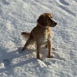 Profile Picture of Jillian Stevenson (@jillian_838) on Instagram