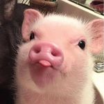 Profile Picture of Iriel David Dias❤️‍🔥 (@iriel.david) on Instagram