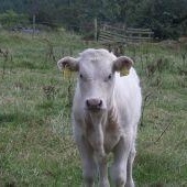 Profile Picture of Michael Lennon (@under_dawg2) on Myspace