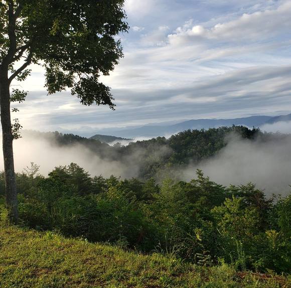 Profile Picture of Robyn Dougherty frazier (@redt100truck) on Poshmark