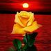 Profile Picture of Debbie Pe'a Tsinnijinnie (Tsinnijinnie) (@debn.tom.5) on Facebook