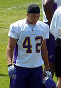 Profile Photo of Ian Johnson (American football)on Wikipedia