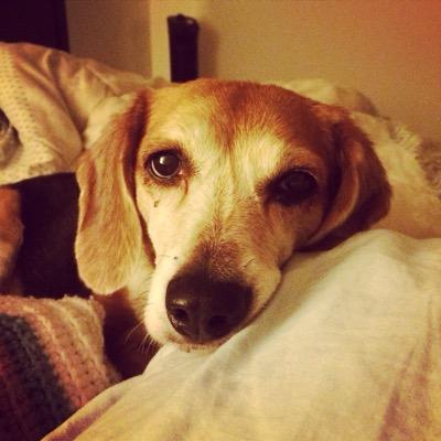 Profile Picture of Kristina Stratton (@beachgrl75) on Twitter