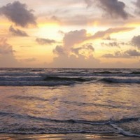 Profile Picture of Michele Lin (@michele-lin-7) on Quora