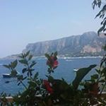 Profile Picture of Angela Borzellieri (@angelaborzellieri) on Instagram