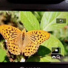 Profile Picture of Keith Wimbush (@KeithWimbush2) on Twitter