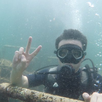 Profile Picture of Jimmy Chow (@JimmyZh60145262) on Twitter