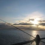 Profile Picture of Chris Stead (@chrisstead11) on Instagram