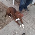 Profile Picture of Scott Dille (@scott.dille) on Facebook