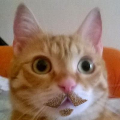 Profile Picture of Adam Silvester (@adambarl2001) on Twitter
