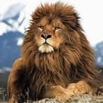 Profile Picture of Andree Ramirez (@Andree-Ramirez) on Facebook