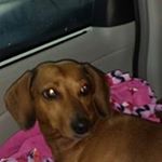 Profile Picture of maureen mathis (@bmoreno2801yahoo.com_) on Instagram