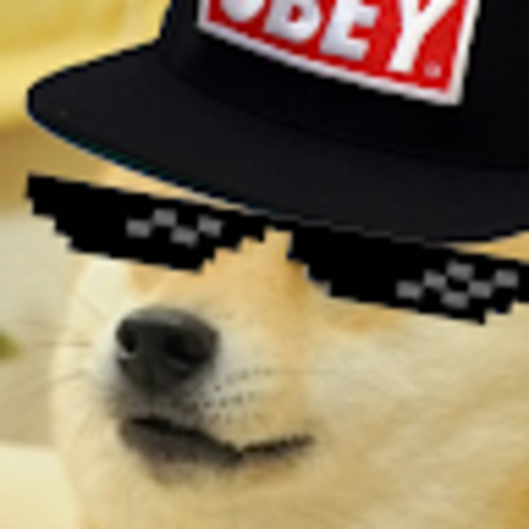 Doge Colony - Poshmark Profile Picture of Doge Colony (@dogecolony) on Poshmark