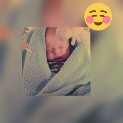 Profile Picture of Nathan Kaylor (@NathanKaylor06) on Twitter