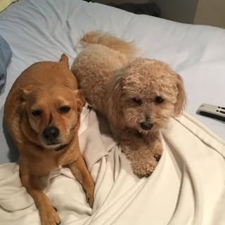 Profile Picture of Michael Lomazow (@michaellomazow) on Instagram