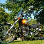 Profile Picture of steven Brewer (@stevenbrewer51) on Instagram